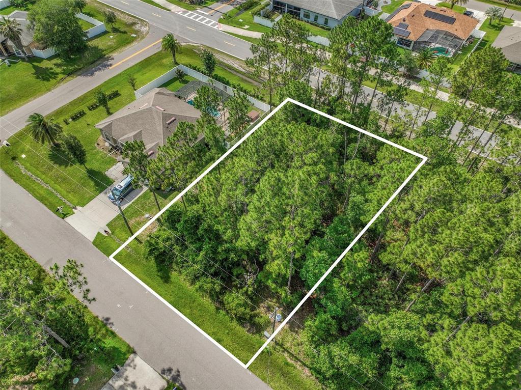 An aerial view shows a rectangular, wooded vacant lot outlined in white within a neighborhood — 3 KATHRYN PLACE, PALM COAST, FL