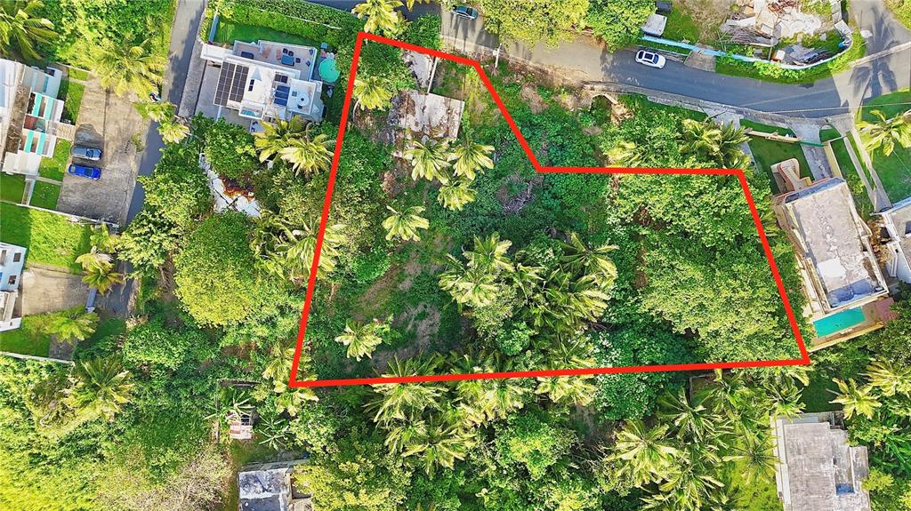 An aerial view shows a vacant, tree-covered lot outlined in red within a residential neighborhood — CAP DE MAR, BREÑAS, VEGA ALTA, PR