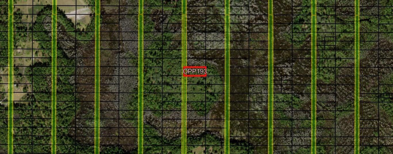 An aerial map shows a grid of land parcels with vertical yellow lines over forest — 0 Old Grade Road, FL 33868, FL