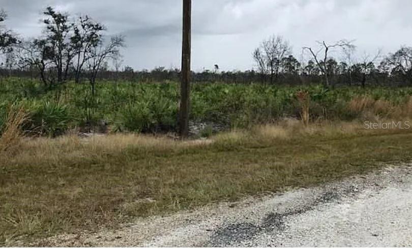 A gravel road runs alongside a flat, undeveloped lot with low vegetation and scattered trees — GREEN WAY, INDIAN LAKE ESTATES, FL
