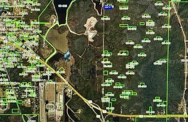 This is an aerial map showing property parcel boundaries overlaid on a wooded landscape — 1425 DILL ROAD, ORLANDO, FL