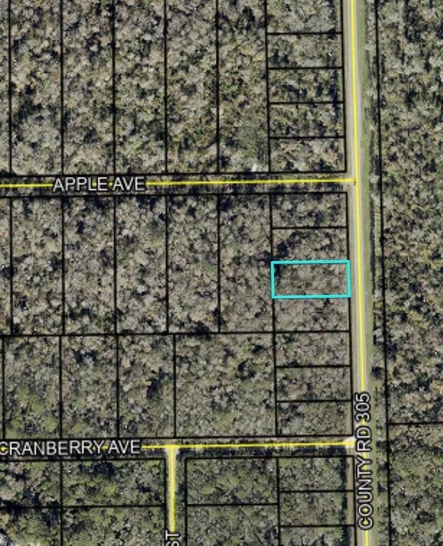 2166 CR-305, BUNNELL, FL — photo 3 of 5