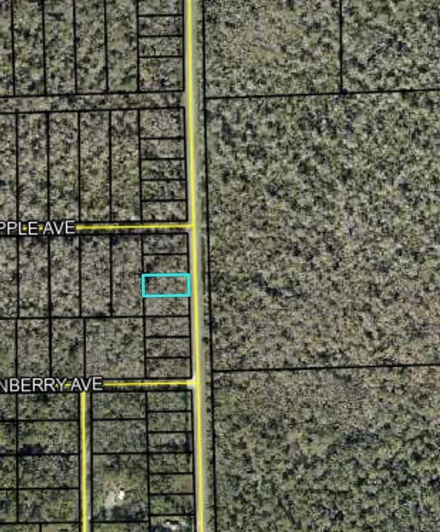 2166 CR-305, BUNNELL, FL — photo 4 of 5