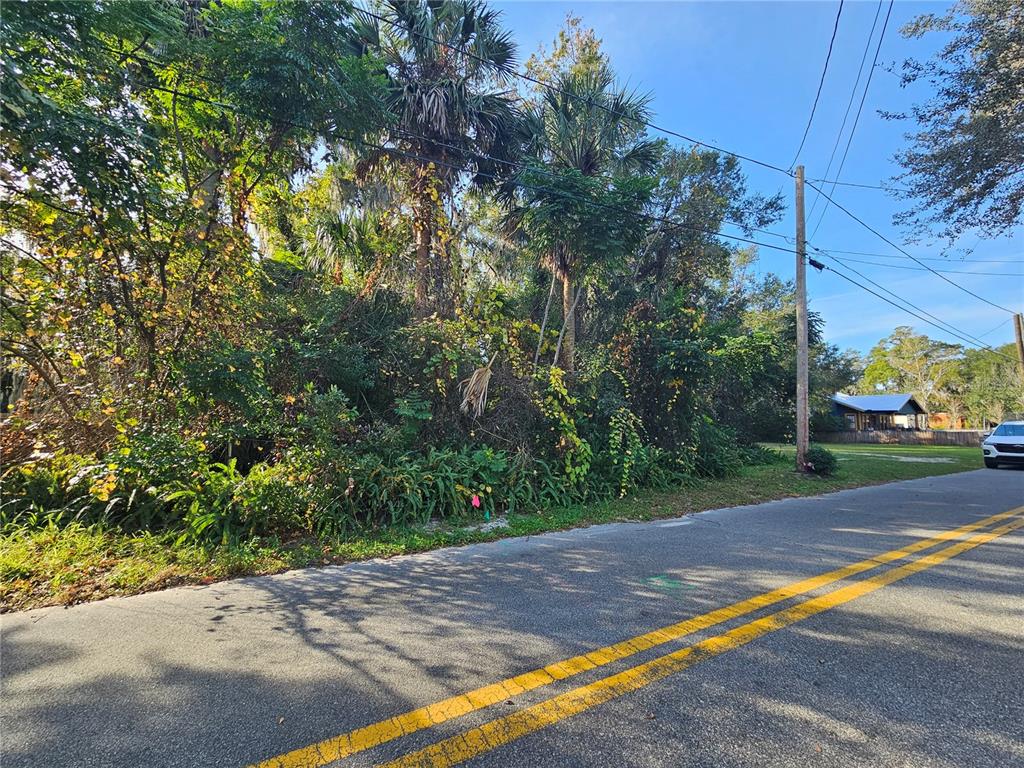 A dense, wooded vacant lot sits along a paved road with a utility pole nearby — W MAY STREET, DELAND, FL