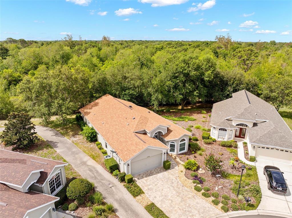 An aerial view shows two suburban houses with shingled roofs and paved driveways near woods — 11750 TEAPOT COURT, SPRING HILL, FL