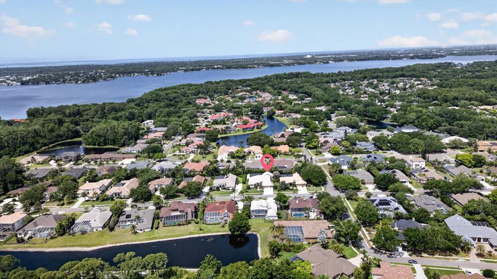 An aerial view shows a residential neighborhood with a red location pin on a house — 4052 CAPITOL DRIVE, PALM HARBOR, FL