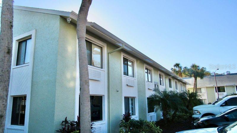 A multi-story, light green apartment building exterior with several windows and palm trees — 20853 HAULOVER COVE UNIT A8, LUTZ, FL