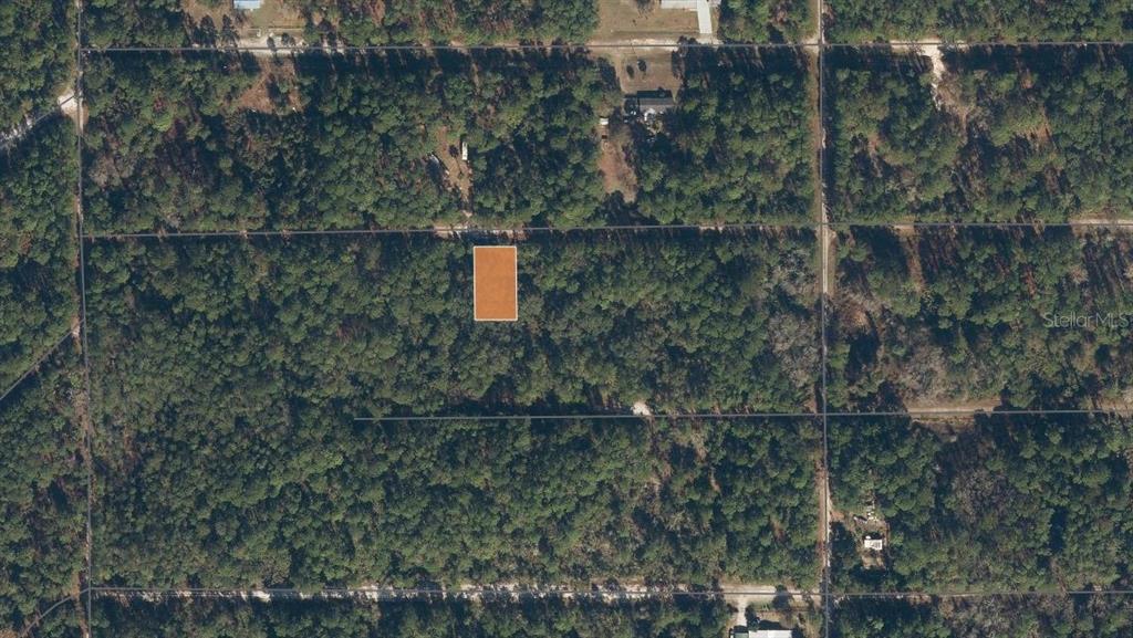 An aerial view shows a rectangular plot of land highlighted in orange amidst wooded terrain — 119 GARDENIA AVENUE, GEORGETOWN, FL