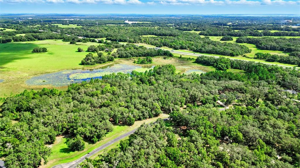 An aerial view shows a wooded landscape with a pond and a nearby road — 3155 BRIGHT LAKE CIRCLE, GROVELAND, FL