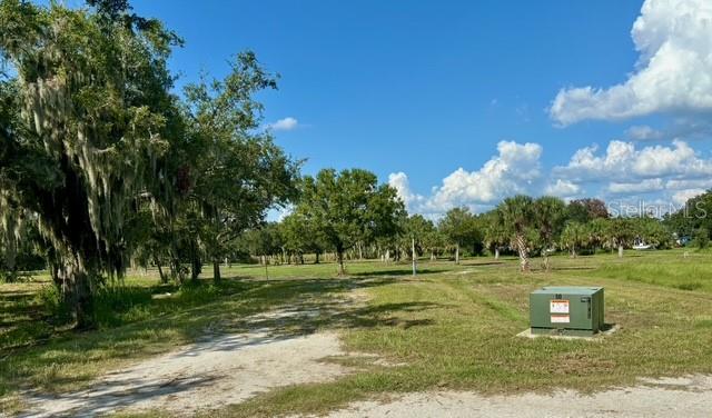 A grassy, undeveloped lot features scattered trees and a green utility box under a blue sky — 107 TILLETT PLACE, TERRA CEIA, FL