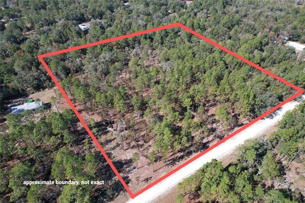 An aerial view shows a wooded, rectangular plot of land outlined in red — 93RD TERRACE, ARCHER, FL