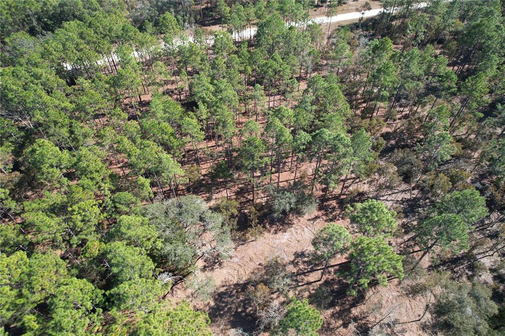 An aerial view shows a wooded lot with pine trees and a dirt access path — 93RD TERRACE, ARCHER, FL