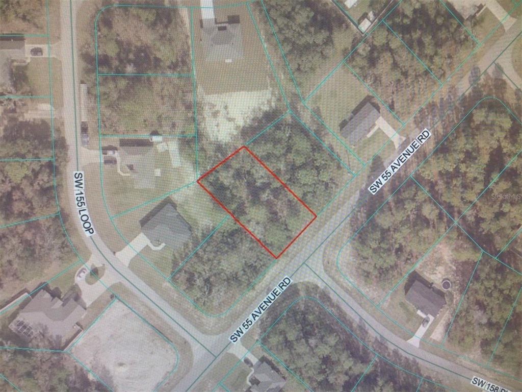 SW 55 AVENUE ROAD, OCALA, FL — photo 3 of 5