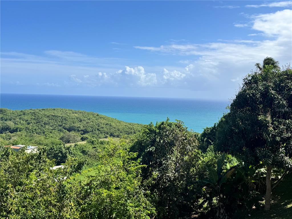 A view of a lush green hillside overlooking the blue ocean under a sunny sky — EL COCAL BEACH AND COUNTRY CLUB UNIT 1, YABUCOA, PR