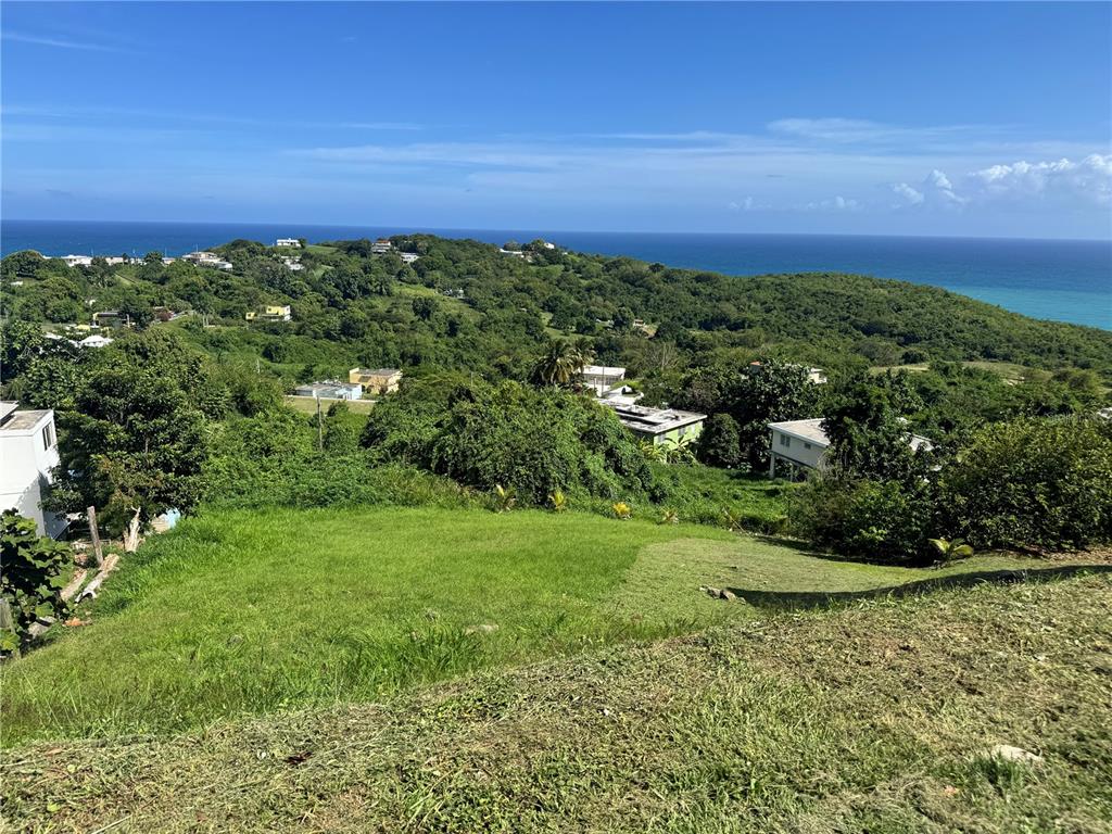 A grassy hillside overlooks a lush landscape with scattered houses and the distant ocean — EL COCAL BEACH AND COUNTRY CLUB UNIT 1, YABUCOA, PR