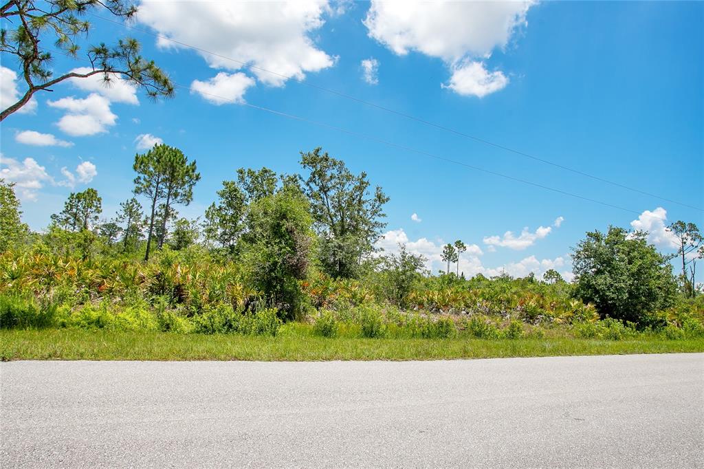 A paved road runs in front of a vacant, wooded lot under a blue sky — 4000 GERONA AVENUE, SEBRING, FL