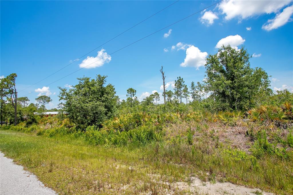 A grassy roadside leads to a wooded lot with palmettos and scattered pine trees — 4000 GERONA AVENUE, SEBRING, FL