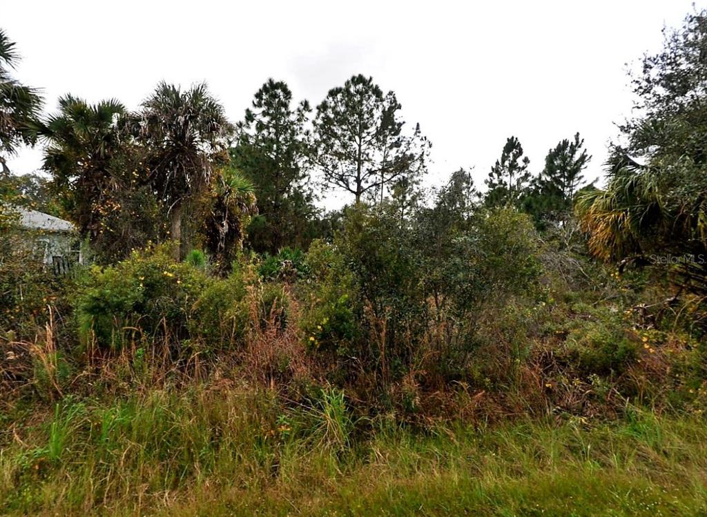 A view of a densely wooded, undeveloped lot with various trees and shrubs — ALHAMBRA AVENUE, NORTH PORT, FL