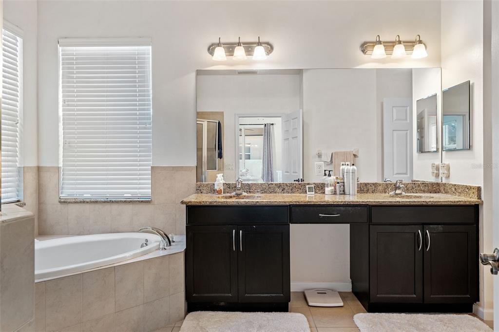 A bathroom with a soaking tub, double vanity with dark cabinets, and a large mirror — 19419 RED SKY COURT, LAND O LAKES, FL