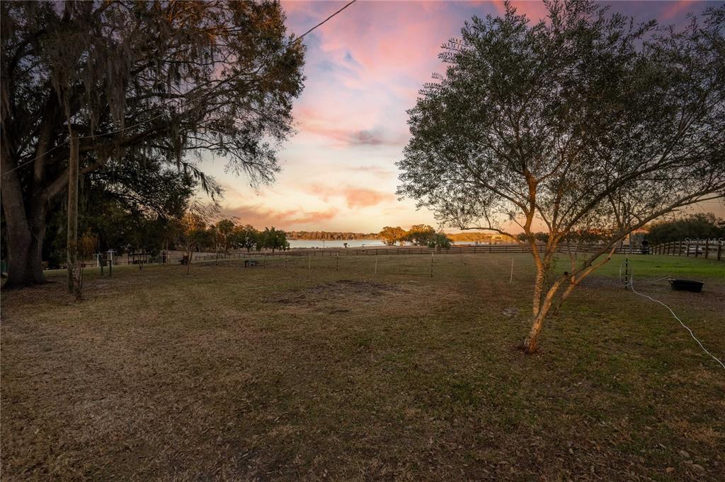 A grassy backyard with trees overlooks a lake under a sunset sky — 32935 JESSE JONES AVENUE, SAN ANTONIO, FL