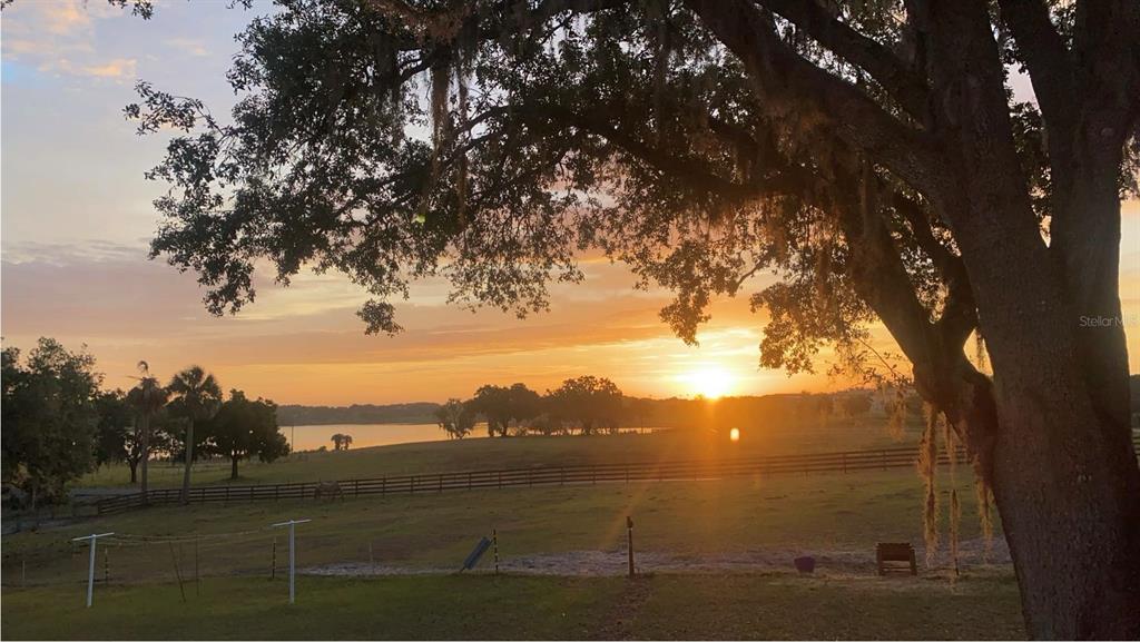 A sunset view over a grassy pasture with a large oak tree and a lake — 32935 JESSE JONES AVENUE, SAN ANTONIO, FL