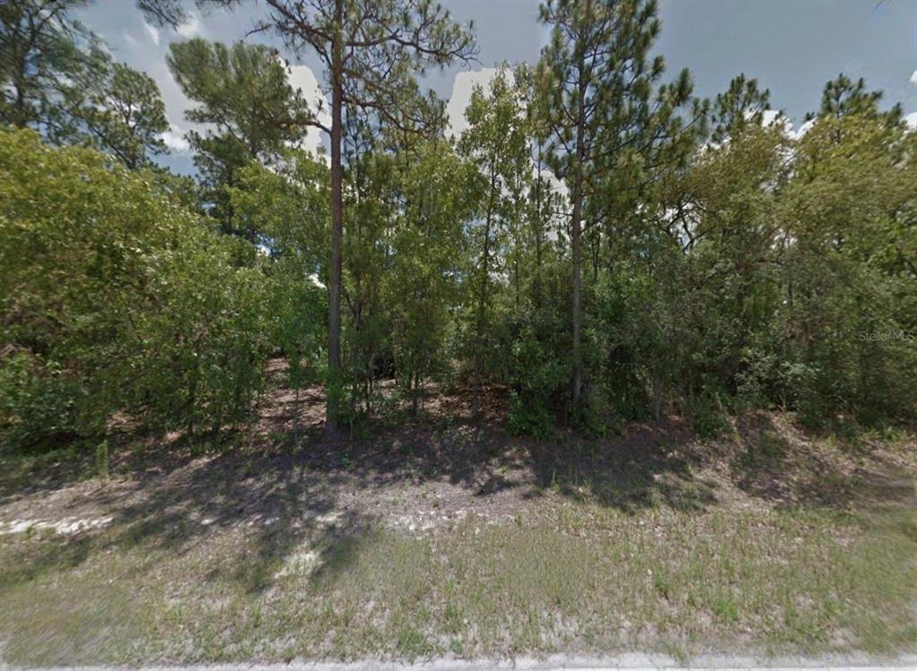 A wooded, undeveloped residential lot is viewed from the street — 9225 N CITRUS SPRINGS BOULEVARD, CITRUS SPRINGS, FL
