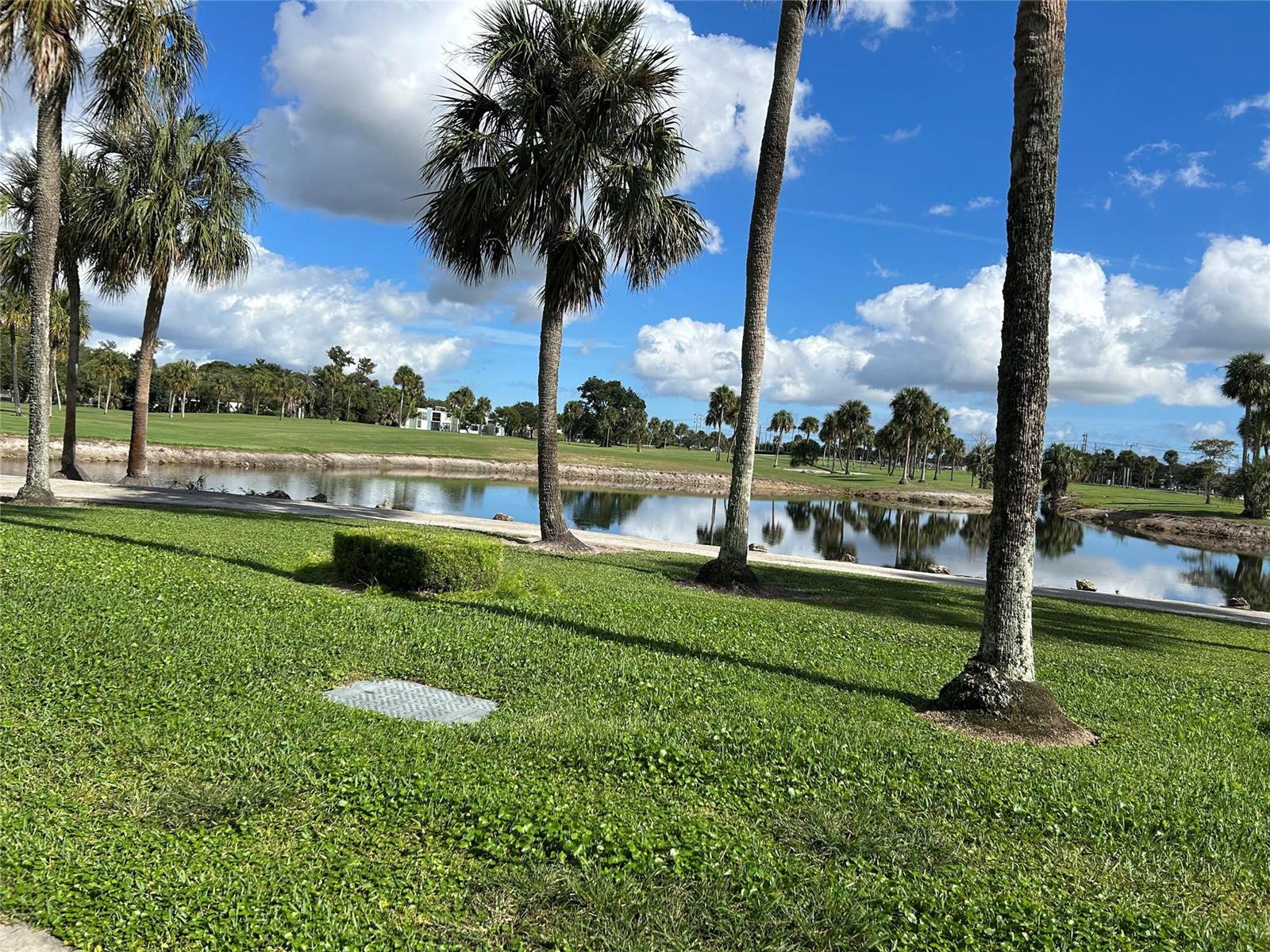 A view of a pond and golf course framed by several tall palm trees — 7807 Golf Circle Drive # 205, Margate FL 33063, MARGATE, FL
