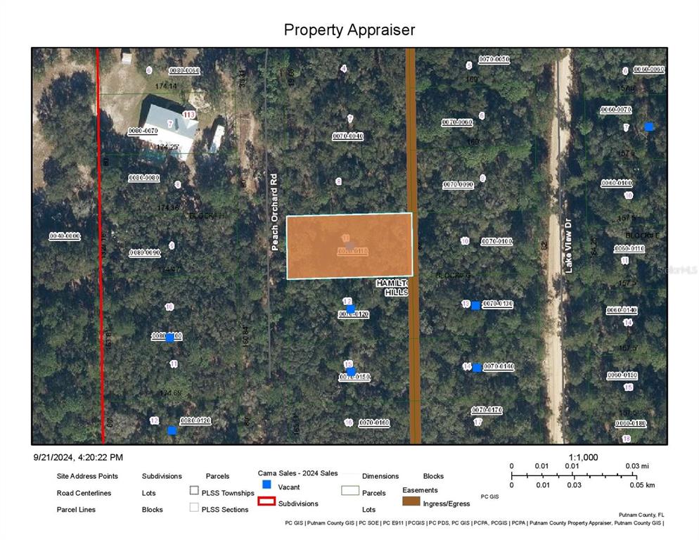 This is a property appraiser map showing parcel boundaries and lot numbers in a wooded area — 118 PEACH ORCHARD ROAD, POMONA PARK, FL