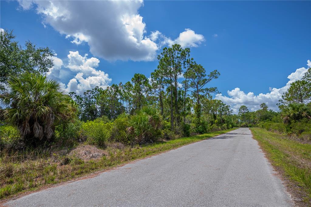 A paved road runs through a wooded area with pine trees and palmettos under a sky — 474 HANSCOM STREET, PORT CHARLOTTE, FL