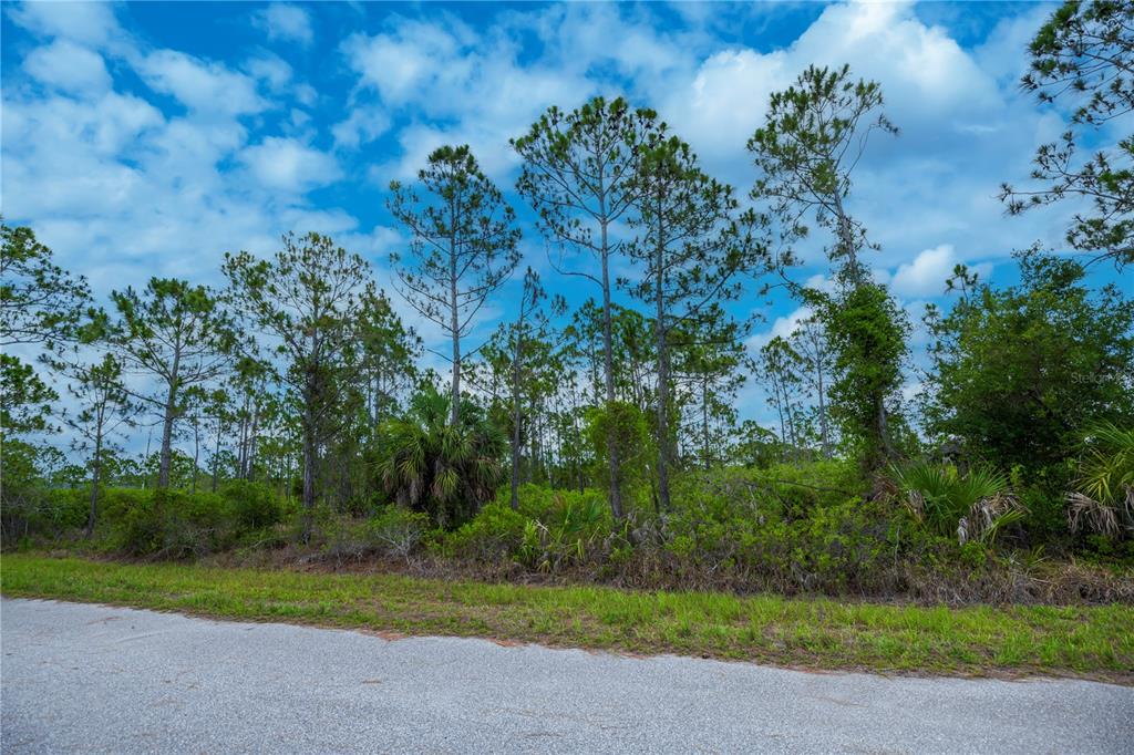 A paved road runs in front of a wooded lot with tall pine trees — 474 HANSCOM STREET, PORT CHARLOTTE, FL