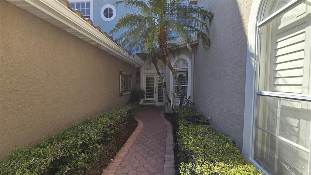 A paved walkway leads to the front entrance of a house flanked by manicured hedges — 1648 LAGO VISTA BOULEVARD, PALM HARBOR, FL