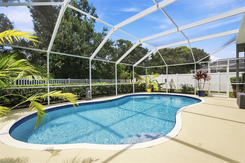 A swimming pool with a blue tiled border sits inside a white screened-in patio enclosure — 22608 KILLINGTON BOULEVARD, LAND O LAKES, FL