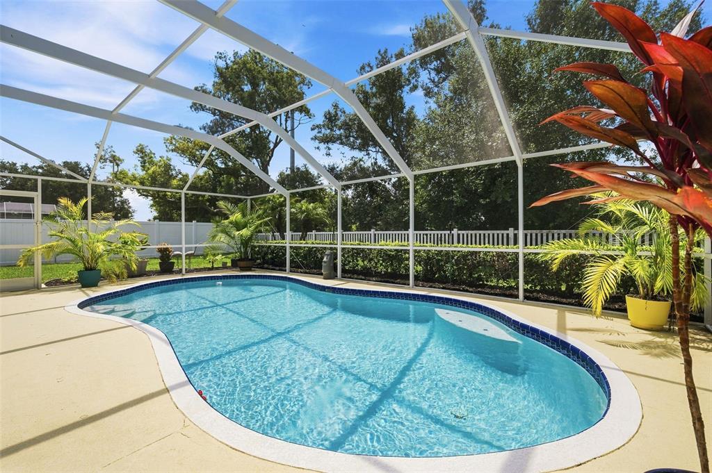 A swimming pool with a blue tiled edge is enclosed by a white screen cage — 22608 KILLINGTON BOULEVARD, LAND O LAKES, FL