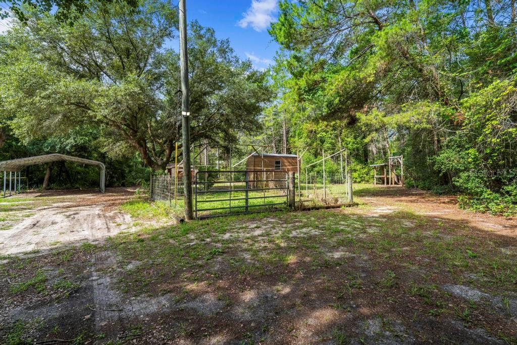 A fenced backyard area features a small wooden shed, a metal carport, and mature trees — 24607 POLAR BEAR ROAD, PAISLEY, FL
