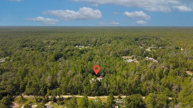 An aerial view shows a house nestled within a dense forest with a location pin — 24607 POLAR BEAR ROAD, PAISLEY, FL