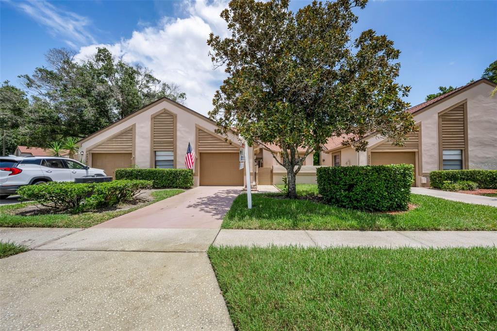 A tan townhouse exterior features two garage doors, a large tree, and a front lawn — 3477 HILLMOOR DRIVE, PALM HARBOR, FL