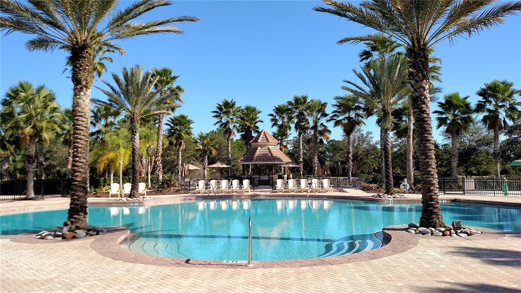 A swimming pool with palm trees and a gazebo in a sunny outdoor area — 11997 TEMPEST HARBOR LOOP, VENICE, FL