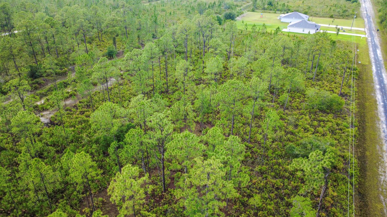 An aerial view shows a wooded lot adjacent to a paved road and a house — 0 Calliandra Drive, FL 33855, FL