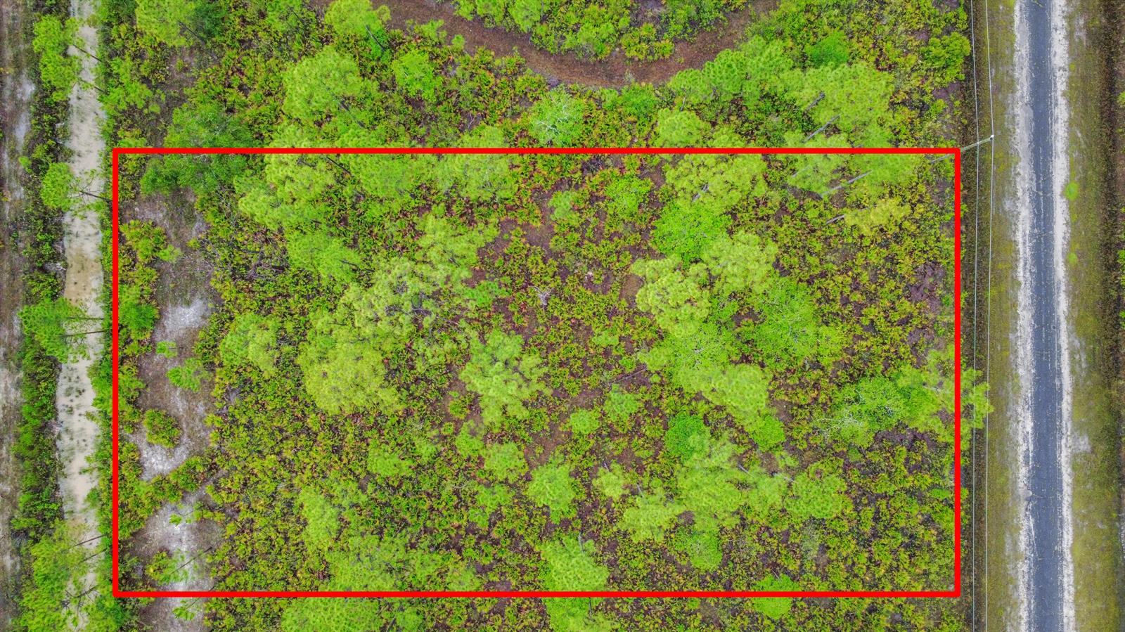 An aerial view shows a rectangular plot of undeveloped, wooded land bordered by dirt roads — 0 Calliandra Drive, FL 33855, FL