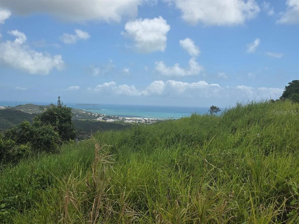 A grassy hillside overlooks a coastal town and the ocean under a blue sky — QUINTAS DE CEIBA UNIT 12, CEIBA, PR