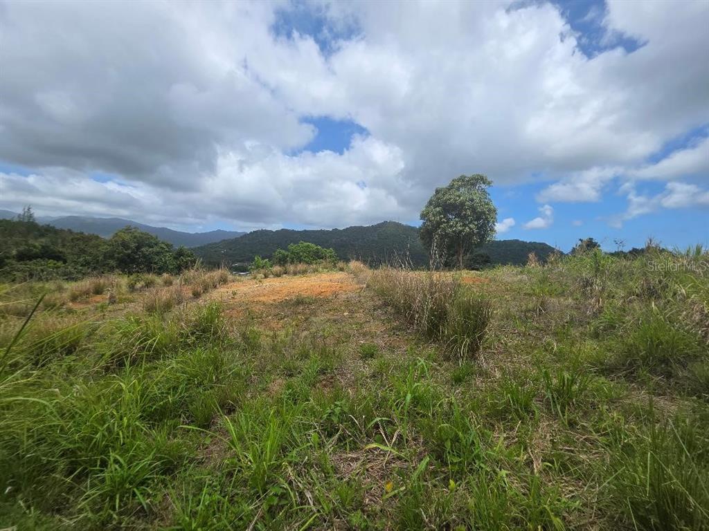 A grassy, sloping lot features a patch of exposed soil with mountains in the background — QUINTAS DE CEIBA UNIT 12, CEIBA, PR