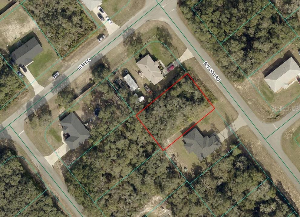 This is an aerial map showing a vacant, wooded residential lot outlined in red — SPRUCE ROAD, OCALA, FL