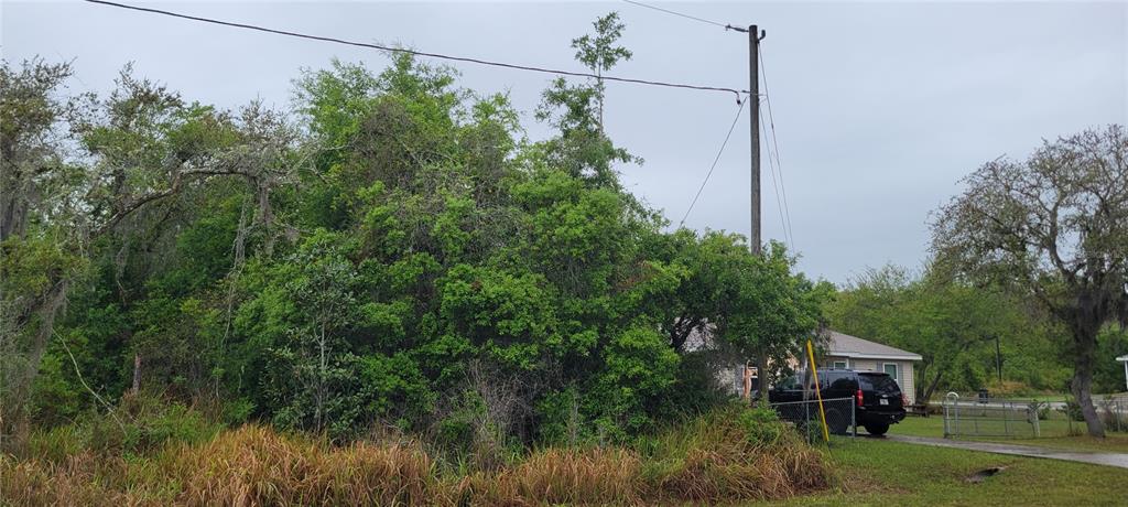 A black SUV is parked in the driveway next to a dense thicket of trees — SPRUCE ROAD, OCALA, FL