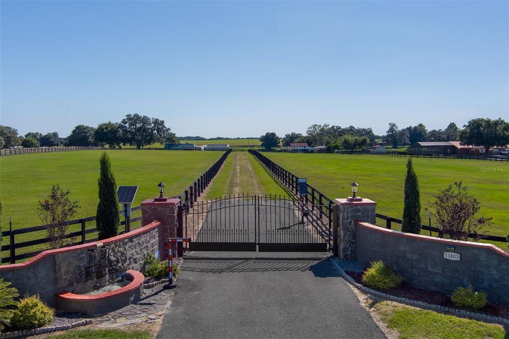 A gated entrance with stone pillars leads to a long driveway through a large pasture — 11403 N MAGNOLIA AVENUE, OCALA, FL