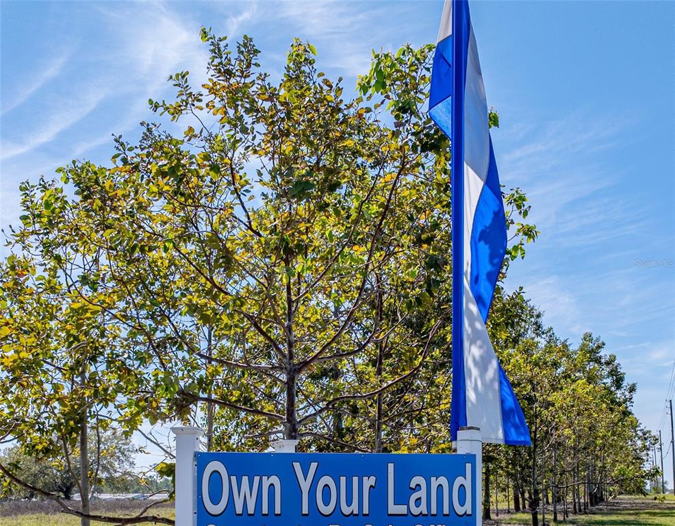 A blue sign reading "Own Your Land" stands next to a tall tree and flag — 212 YORK COTTAGE DRIVE, HAINES CITY, FL