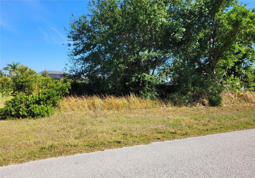 A grassy, tree-lined vacant lot sits adjacent to a paved road under a blue sky — 9164 RAVEL STREET, PORT CHARLOTTE, FL