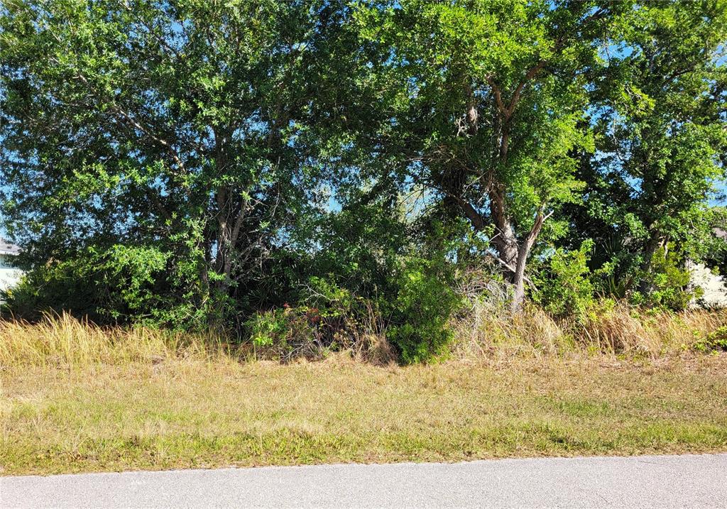 A vacant, wooded lot is viewed from the edge of a paved road — 9164 RAVEL STREET, PORT CHARLOTTE, FL