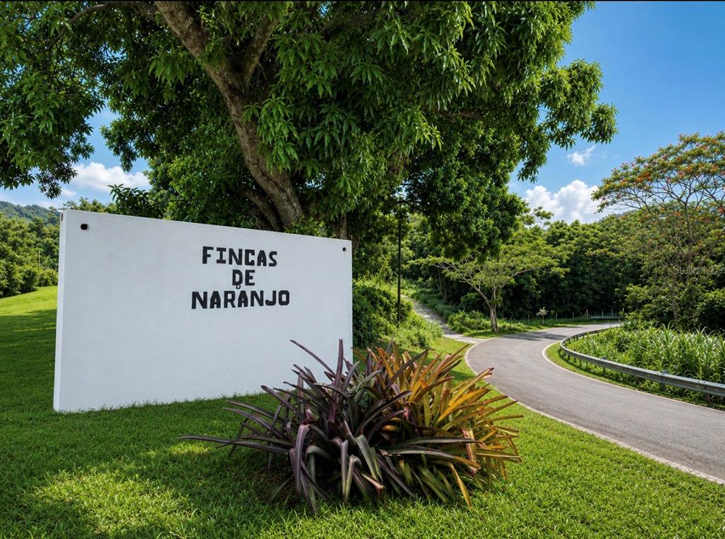 FINCAS DE NARANJO