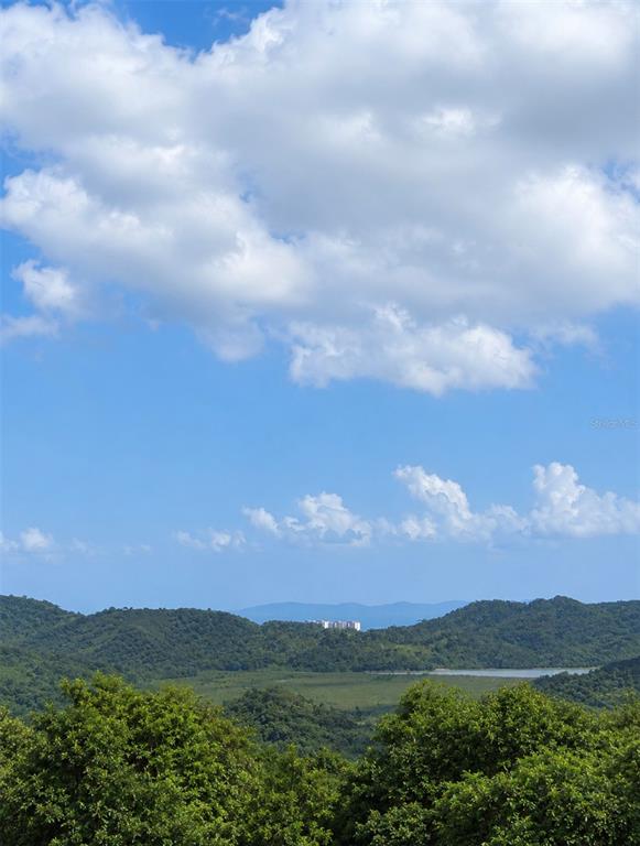 A view of a lush green valley with a small lake and distant mountains — FINCAS DE NARANJO, FAJARDO, PR