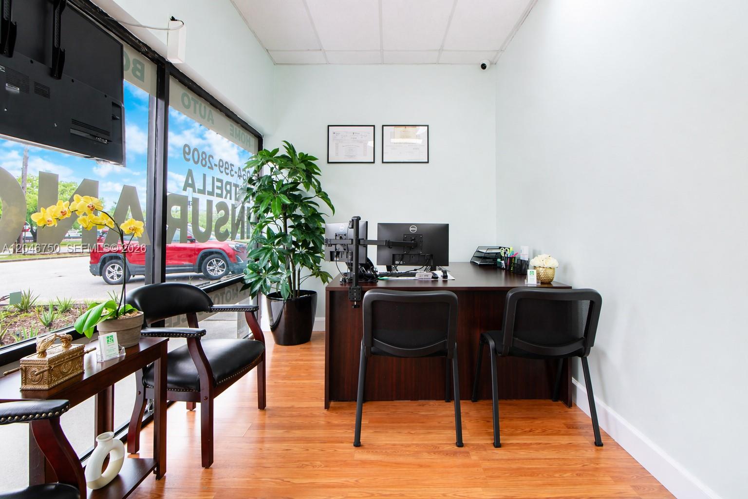 A small office features a dark wood desk, two black chairs, and a large potted plant — HALLANDALE BEACH, FL